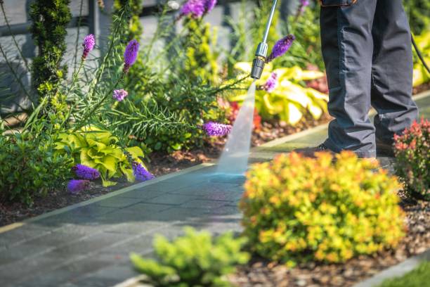 Best Patio and Deck Pressure Washing  in Genesee, ID