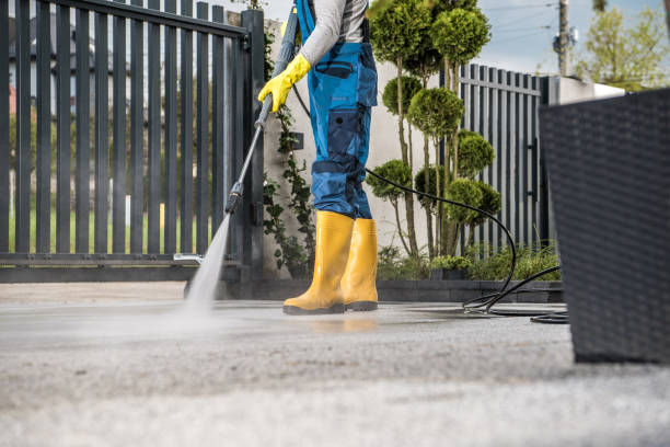 Best Gutter Cleaning  in Genesee, ID